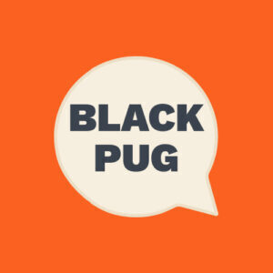 BLACK PUG MEDIA LLC